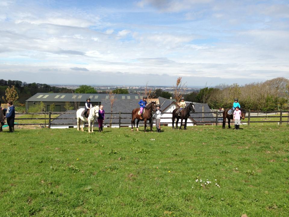 Campamento de hípica en Dublín (Irlanda) | Easy-Go