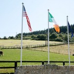 Campamento hípica dublín banderas