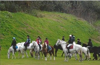 Campamento hípica dublín paseo a caballo