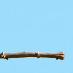 Cómo estudiar inglés y trabajar en el extranjero: guía completa y consejos útiles