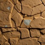 Los verbos regulares más importantes del inglés