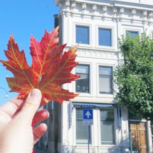 Cursos de inglés en Toronto